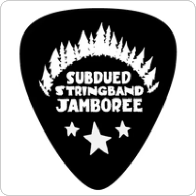 Guitar Picks, 3 for $1