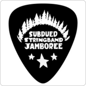 Guitar Picks, 3 for $1